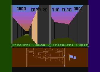 The Capture the Flag Game  Download Scientific Diagram