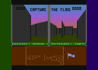 The Capture the Flag Game  Download Scientific Diagram