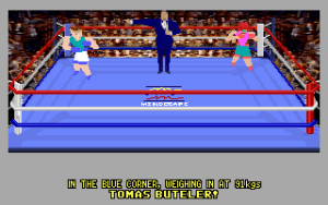 4-D Boxing Gameplay (DOS)