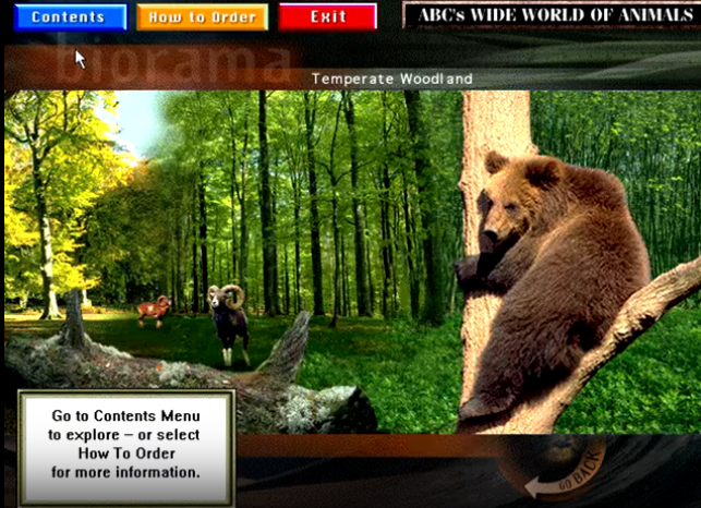 ABC WIDE World of Animals Gameplay (Windows)