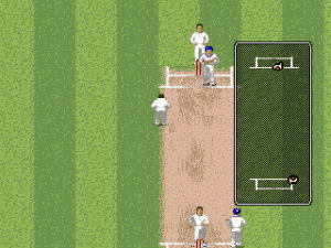 Brian Lara Cricket '96 Gameplay (Genesis)