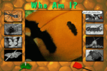 Bug Adventure Gameplay (DOS)