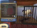 Championship Horse Trainer Gameplay (Windows)