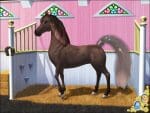 Disney Princess Royal Horse Show Gameplay (Windows)