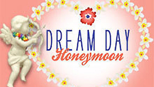 Dream Day Honeymoon Game Cover