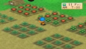 Harvest Moon: Back to Nature Gameplay (PSP)