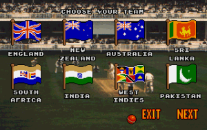 Ian Botham's Cricket Gameplay (DOS)
