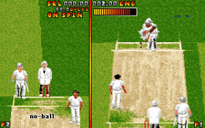 Ian Botham's Cricket Gameplay (DOS)