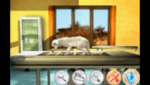 My Animal Centre in Africa Gameplay (Windows)