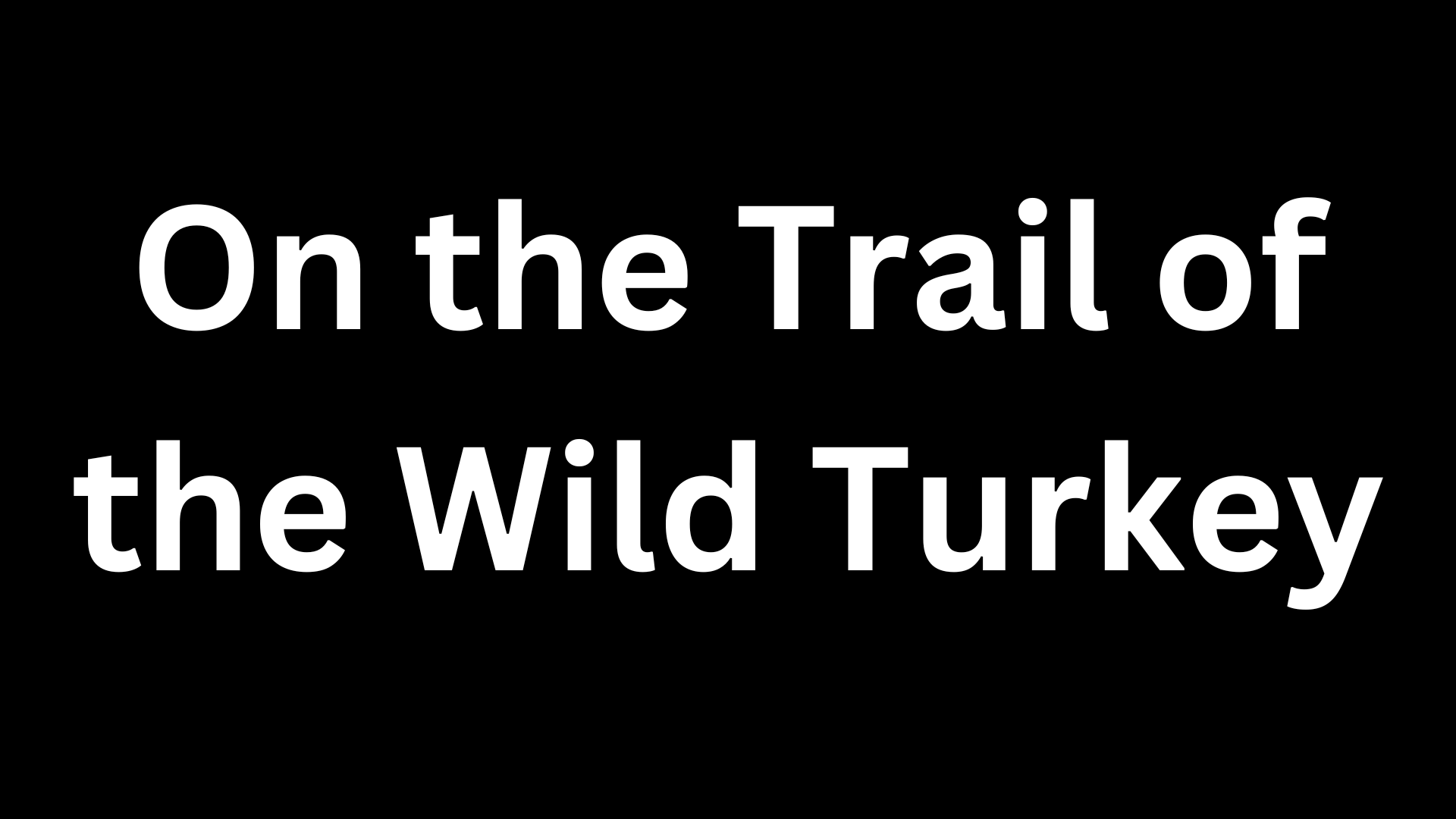 On the Trail of the Wild Turkey - Old Games Download