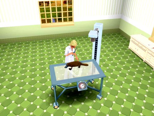 Pet Vet 3D: Animal Hospital Down Under Gameplay (Windows)
