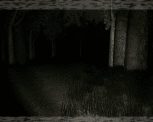 Slender: The Eight Pages Gameplay (Windows)