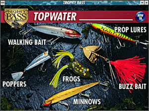 Trophy Bass Gameplay (Windows)