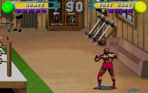 WWF in Your House Gameplay (DOS)