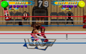 WWF in Your House Gameplay (DOS)