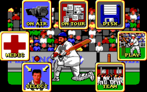 World Cricket Gameplay (DOS)