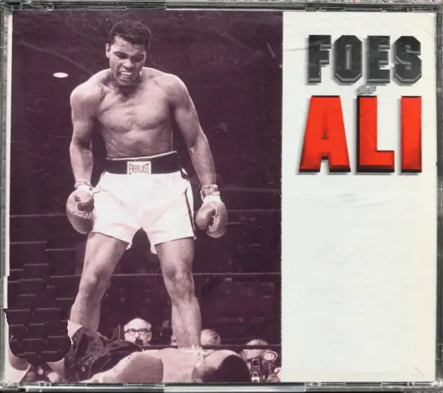 Foes of Ali Game Cover