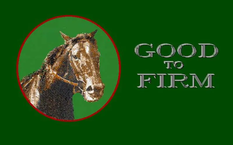 Good to Firm Game Cover