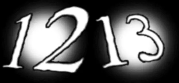 1213: Special Edition Game Cover