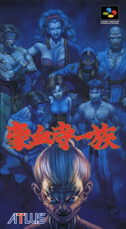 Power Instinct Game Cover