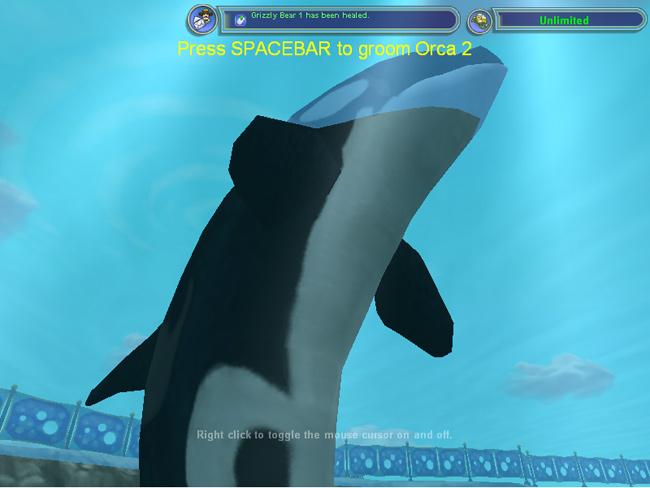 Zoo Tycoon Marine Mania and Dinosaur Digs : Free Download, Borrow, and  Streaming : Internet Archive